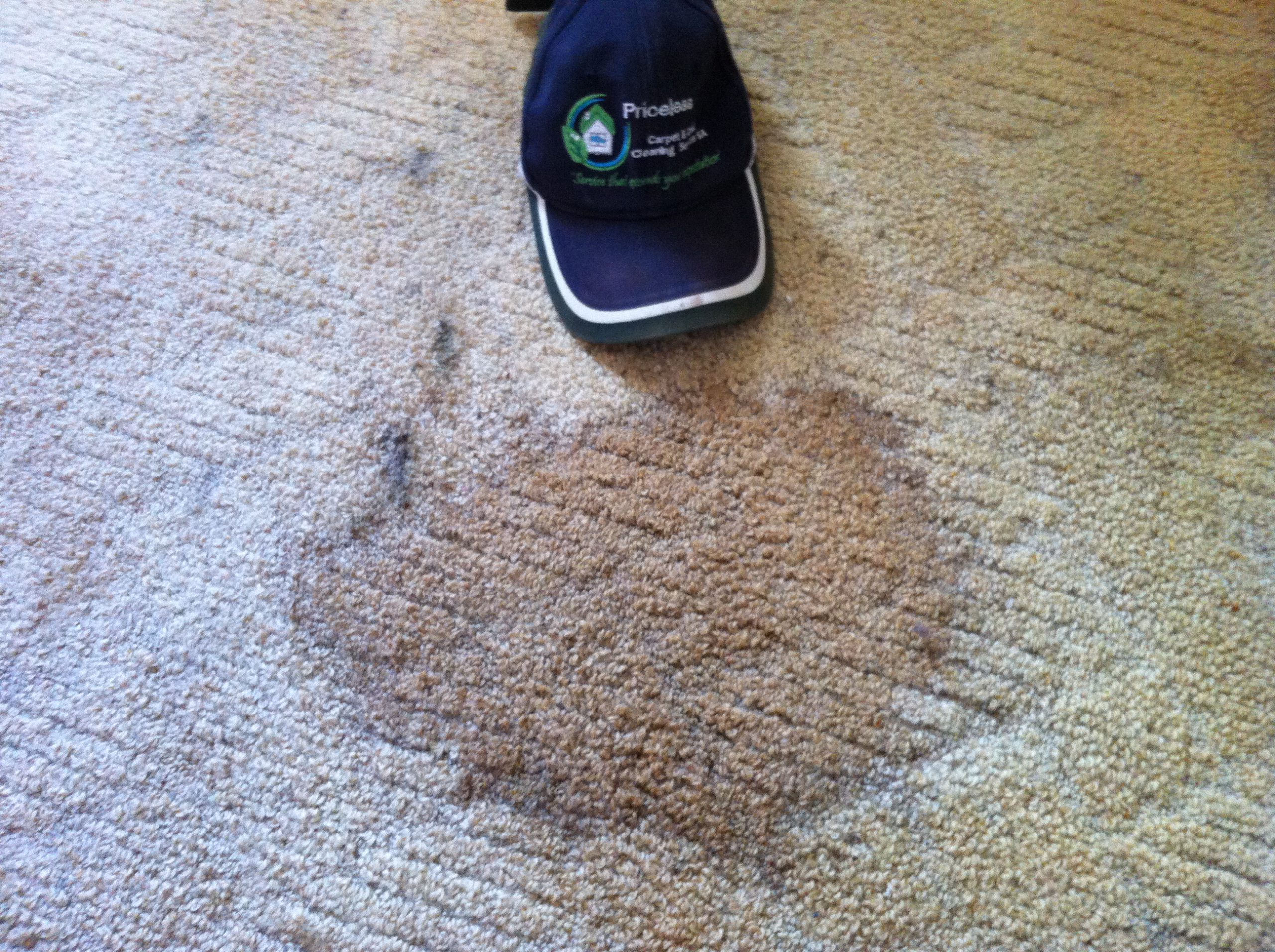 Heavily Stained Carpet before stain removal