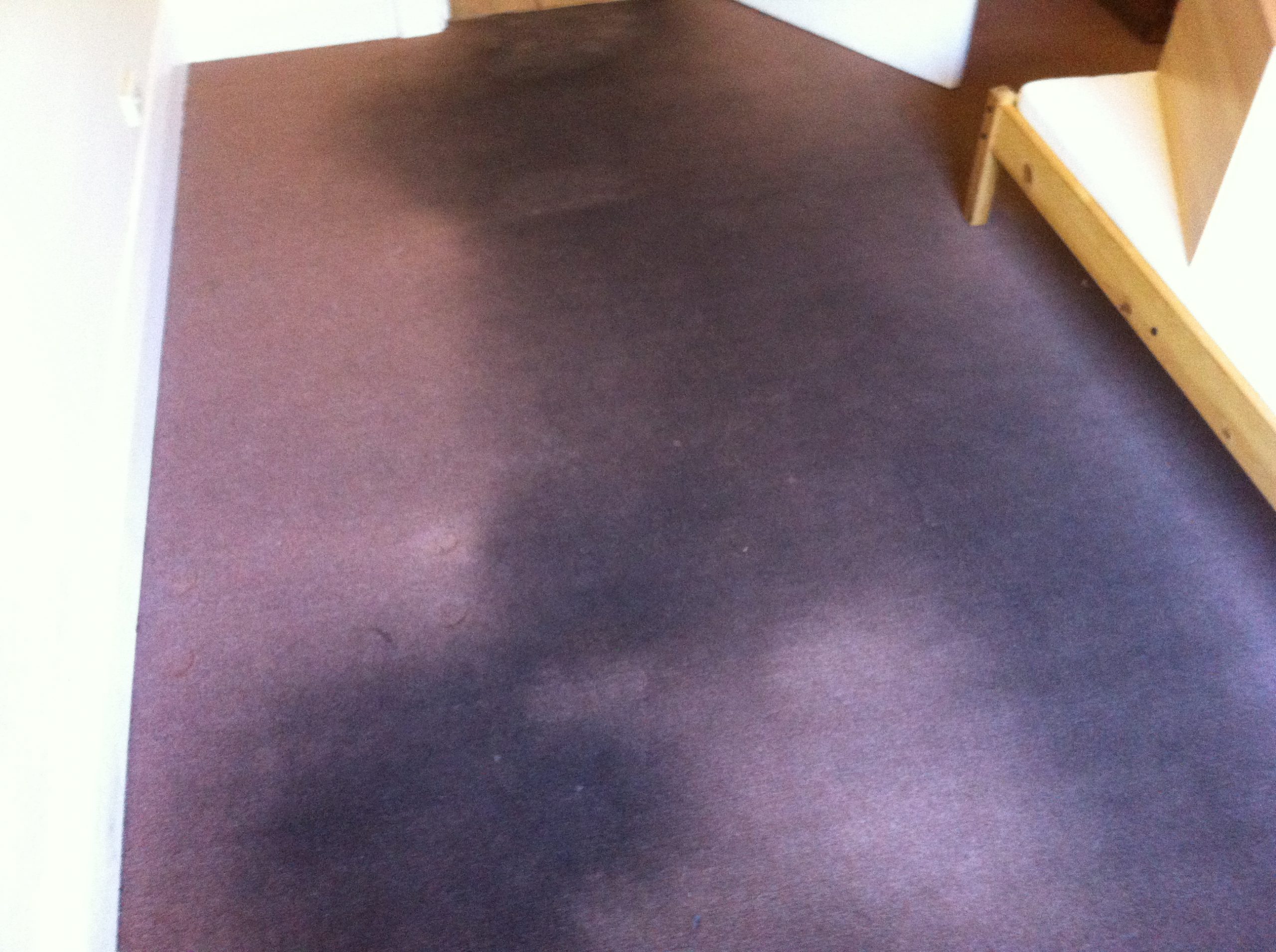 Red Soiled Carpet before being cleaning by Priceless Carpet Adelaide