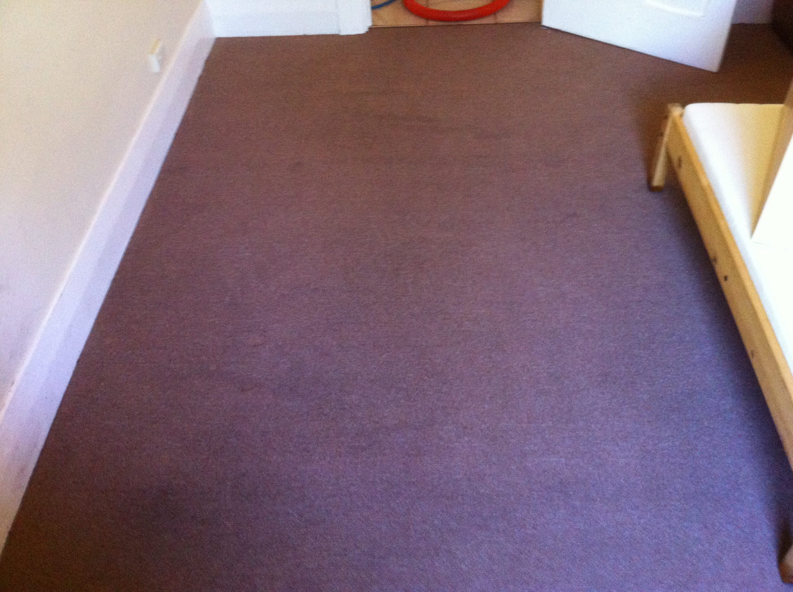 Red Cleaned Carpet before being cleaning by Priceless Carpet Adelaide