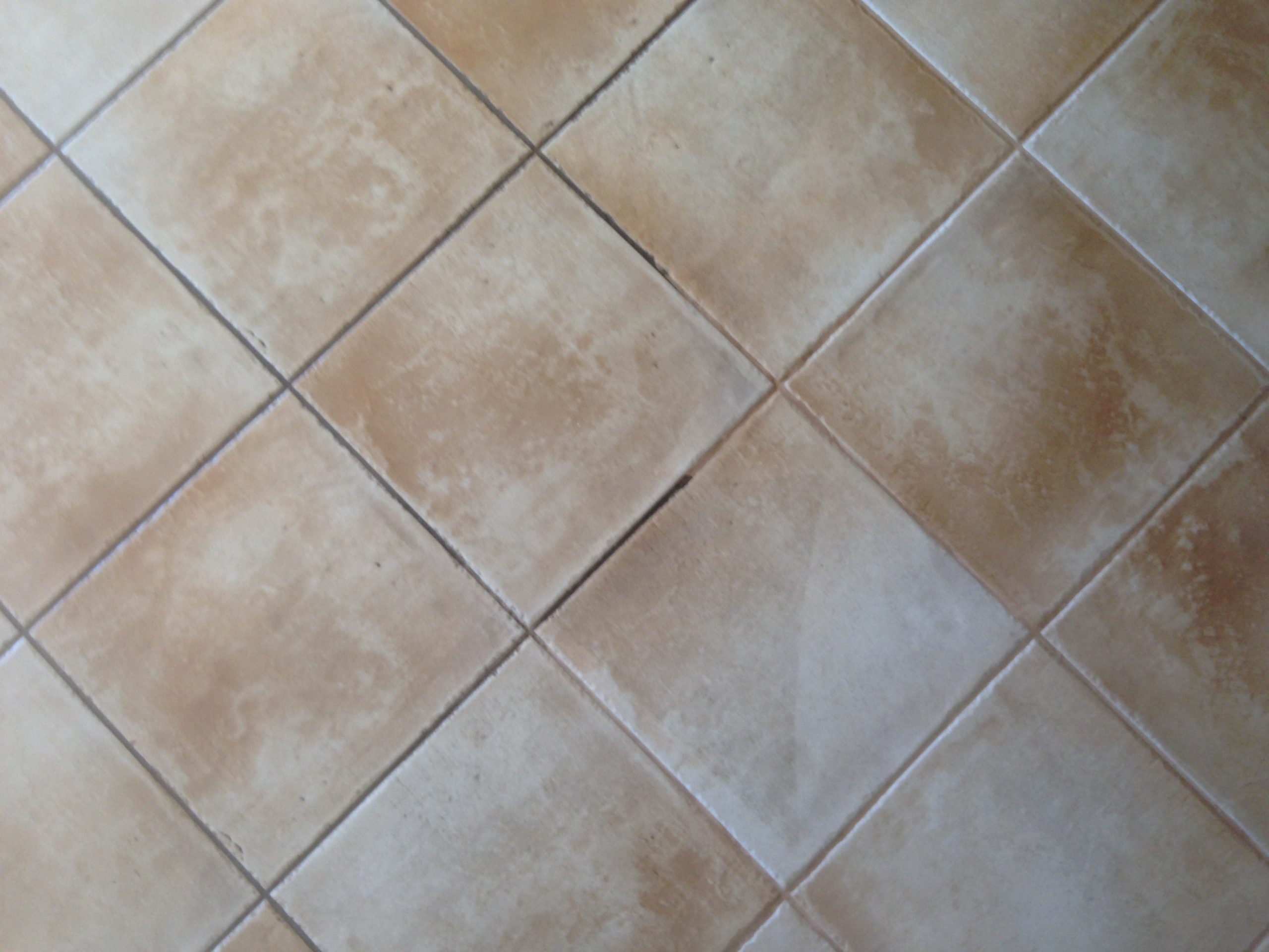 Half Cleaned Tile Grout by Priceless Carpet Cleaning Adelaide