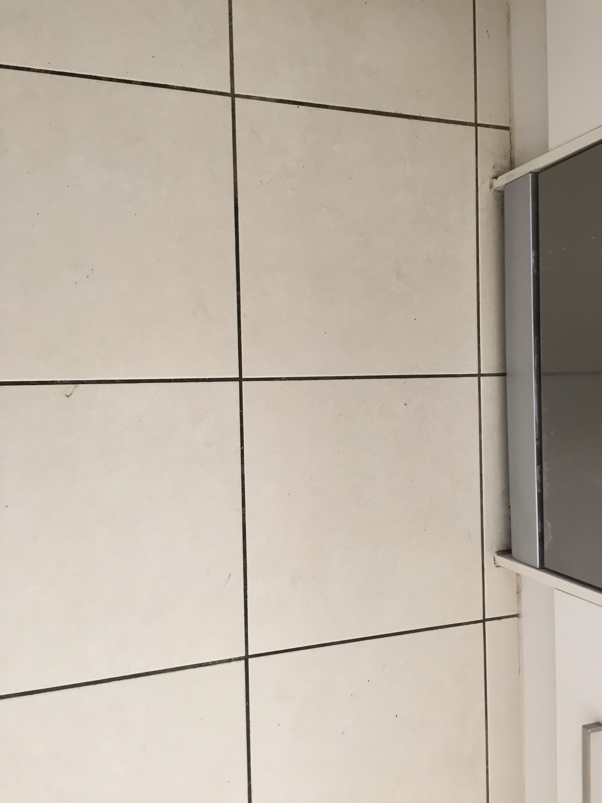 Before Grout Cleaning by Priceless Carpet Cleaning Adelaide