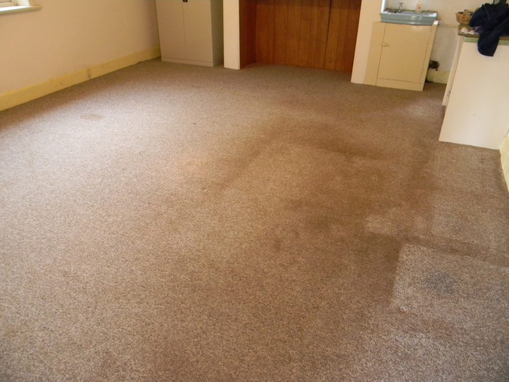 Brown Carpet before being cleaned by Priceless Carpet Cleaning
